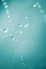 Naklejka na ściany i meble raindrops on the spider web in rainy days, abstract backgrounds