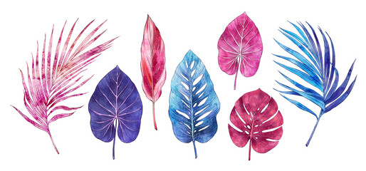 Watercolor tropical jungle leaves isolated on white background. Hand painted watercolor. Botanical hand drawn illustration for wedding invitations, prints. Palm leaf, monstera 