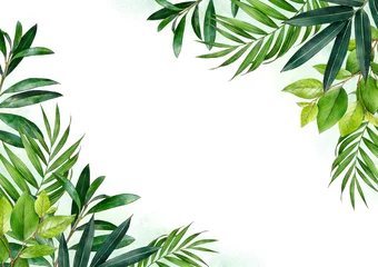 Tuinposter Aquarel achtergrond van tropische groene planten. Vintage groen. Botanische hand getekende illustratie. Zeer gedetailleerd plantsjabloon. Palm bladeren. Exotisch. © Katy's Dreams