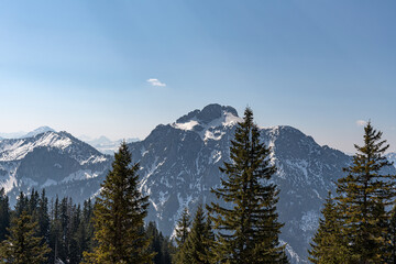 Beautiful and picturesque snowy mountains in the background, pine forest in front.