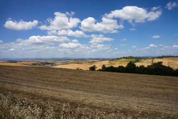 Fototapeta premium Rural landscape in Val d Orcia, Tuscany, Italy