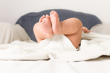  baby feet of a baby lying in diapers on a sofa at home.selective focus.
