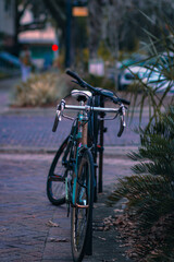 Vertical shot of a green bike parked on a road in Gainesville, Florida