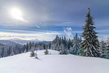 Snowy meadow in Carpathians, Ukraine