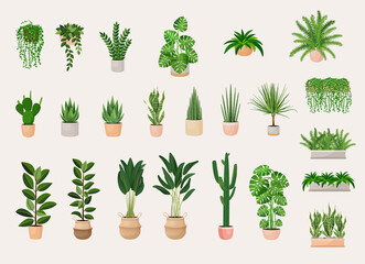 Fototapeta na wymiar Collection of indoor plants in pots for decorating the interior. Set of vector illustrations of home flowers. Trendy home decor with plants, urban jungle.