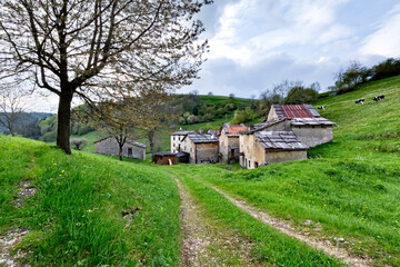 Road to the hamlet of Masi in the Regional Natural Park of Lessinia. Verona province, Veneto,...