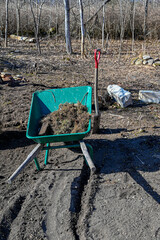 spade and green wheelbarrow standing in garden