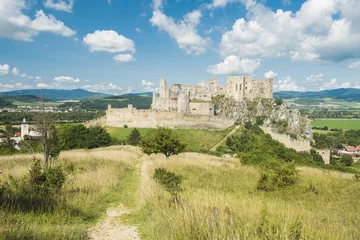 Deurstickers Beckov castle in Slovakia near Trencin town © Fyle