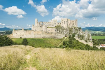 Plexiglas foto achterwand Beckov castle in Slovakia near Trencin town © Fyle