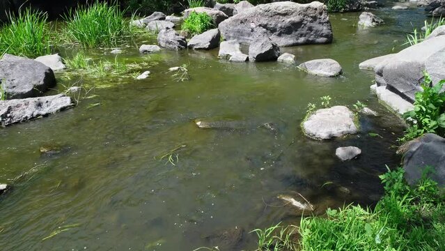 Buky Canyon summer landscape, Hirskyi Tikych river, Cherkasy Region, Ukraine.
