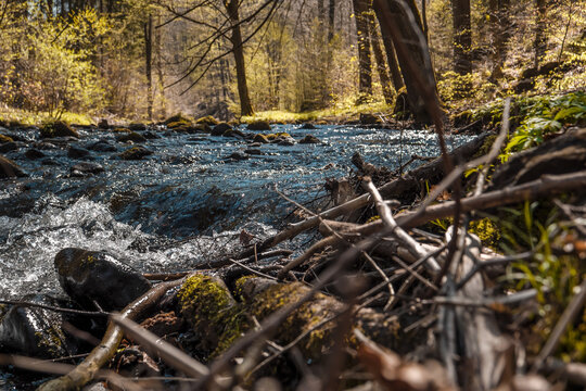 Bielatal in der S&auml;chsischen Schweiz - Biela im Fr&uuml;hling