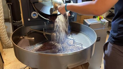 Coffee profession roasting coffee beans, releasing hot and aromatic beans pouring out on the cooling plate.