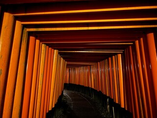 Arches of Fushimi Inari Shrine in Kyoto
