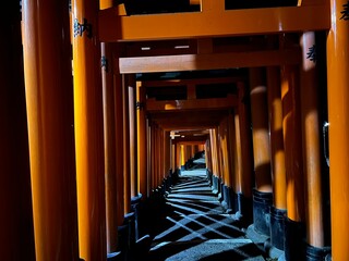 Arches of Fushimi Inari Shrine in Kyoto