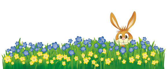Ein Osterhase in einer Frühlingswiese mit Blauen und Gelben Blumen. - obrazy, fototapety, plakaty
