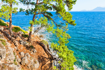 Pines on the rocky sea coast. Kemer, Turkey. Beautiful summer landscape