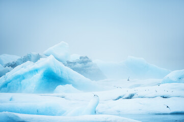 Fototapeta na wymiar Blue icebergs in Jokulsarlon glacial lagoon, Iceland