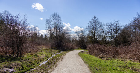 Scenic Trail in a city park with green trees during sunny winter day.