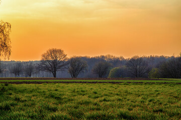 beautiful sunset landscape with fields and trees