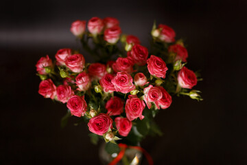 Beautiful bouquet of pink (red) roses bushes with water drops on a black background. Selective focus, close-up.