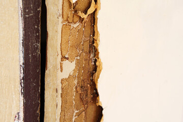 door was destroyed because it was eaten by termites.         
