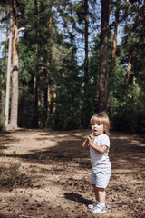 Happy cute toddler boy in t-shirt and shorts walking along path in summer park. Little kid outing on path in pine forest. Hyper-local travel concept. Active lifestyle. Child having fun in green woods.