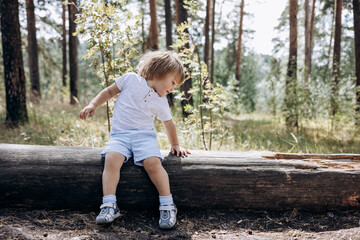 Happy cute toddler boy in t-shirt and shorts walking along path in summer park. Little kid sitting on log in pine forest. Hyper-local travel concept. Active lifestyle. Child having fun in green woods.