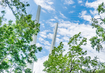 Russia, Vladivostok. Nice view on Golden Bridge through the tree branches in sunny day. Golden Bridge is the most famous sight of Vladivostok. Welcome to Vladivostok concept.