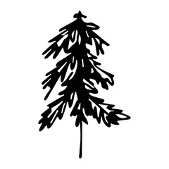 Christmas tree hand drawn illustration isolated on white background. Fir doodle clipart.