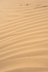 Vertical shot of a beach sand texture with asymmetrical lines and and sunlight on it
