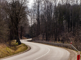 road in the forest