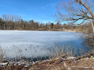 Frozen lake with bare trees on sunny day in early spring