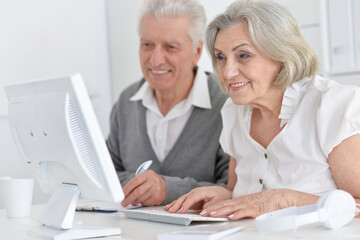 Portrait of smiling senior people working with computer at home