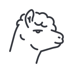 Vector llama line icon isolated on transparent background.