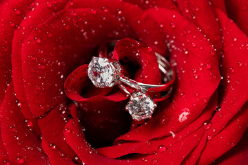 Closeup of the engagement diamond rings in the heart of a fresh red rose with dew - obrazy, fototapety, plakaty