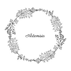 Round frame line art with Artemisia vulgaris wreath common wormwood hand drawn vector illustration isolated on white Also called absinthium, absinthe wormwood, sagebrush herb, mugwort plant for design