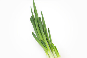 Green onion on white background