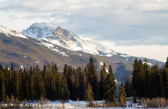 View of Mount Tekarra in Jasper National Park, Alberta, Canada