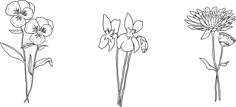 一輪の花 の画像 33 678 件の Stock 写真 ベクターおよびビデオ Adobe Stock