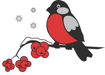 Bullfinch bird sits on rowan branch among snow earlier in spring