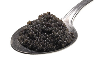 A spoonful of black lumpfish roe, a cheap caviar alternative