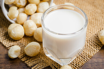 Macadamia milk in a glass and a bowl of macadamia nuts.