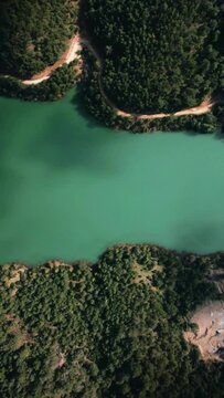 Aerial view of green lake surrounded by trees