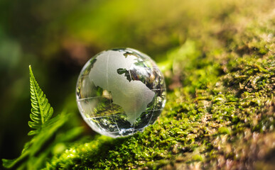 Obraz na płótnie Canvas globe glass on grass with sunshine. environment concept
