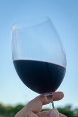 Crystal glass containing red wine raised in an attitude of toast.
