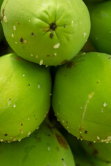 Approach to some papaya fruits still green.