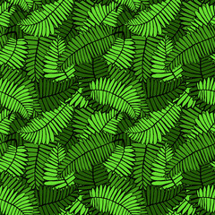 fern leaves foliage seamless pattern, vector illustration endless texture