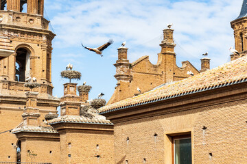 Storks with nests over church roof and towers. 
This church in spain is home to the largest colony...
