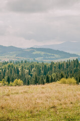 Beautiful green mountains in the Carpathians in autumn