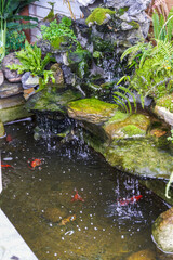 Koi fish pond with rockery and flowing water landscape